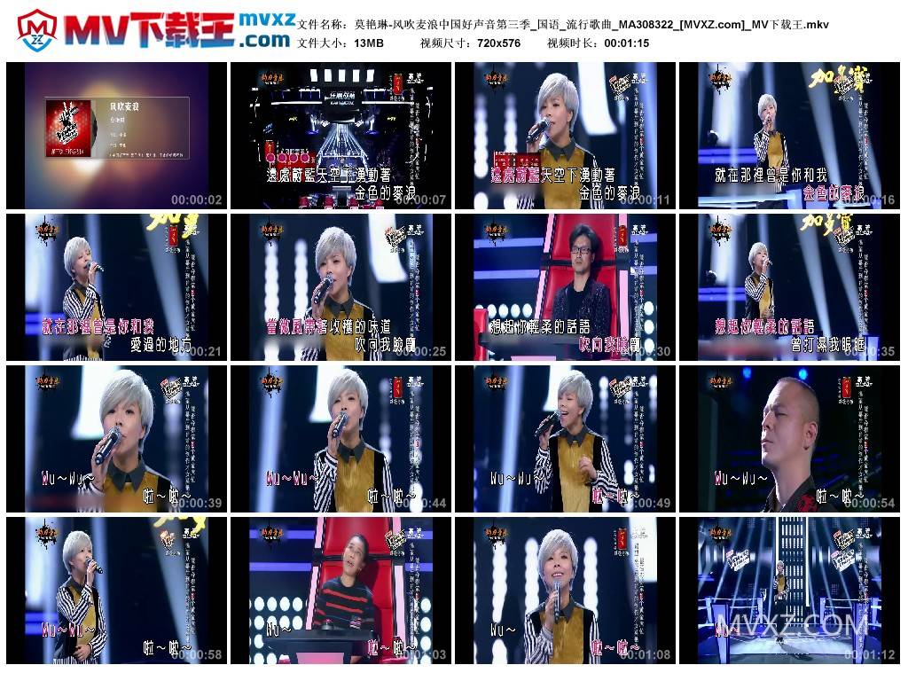 莫艳琳-风吹麦浪中国好声音第三季_国语_流行歌曲_MA308322